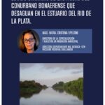 Estado sanitario de las aguas del conurbano bonaerense que desagua en el estuario del Río de la Plata